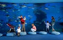 Palma Aquarium, Mallorca, Spain