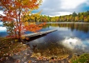 White Mountain National Forest, NH