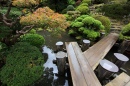 Japanese Garden