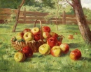 Apples