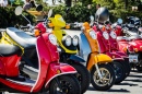 Colorful Scooters