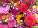 Colorful Flower Arrangement