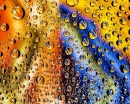 Water Drops