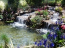 Backyard Fountain