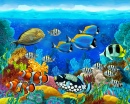 Coral Reef