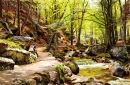 A Forest Near Ilsenburg In the Harz