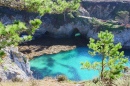 Point Lobos State Reserve, California