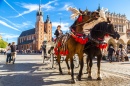 Horse Carriages in Krakow, Poland