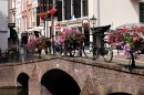 Canal Bridge with Flowers, Hague