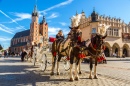 Horse Carriages in Krakow, Poland