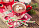 Hot Winter Chocolate