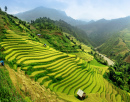 Mu Cang Chai Rice Fields, Vietnam