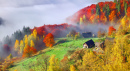 Foggy Morning in the Carpathian Mountains