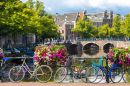 Canals of Amsterdam