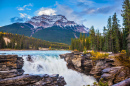 Athabasca Falls, Jasper National Park