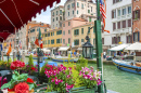 Grand Canal, Venice, Italy