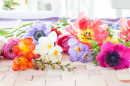 Colorful Spring Flowers