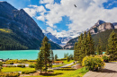 Lake Louise, Banff National Park