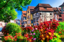 Flowers in Colmar, France