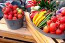 Vegetables in the Garden