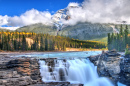 Athabasca Falls, Canadian Rockies