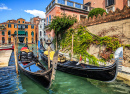 Gondolas in Venice