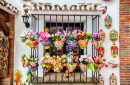 Window Decorated with Flower Pots