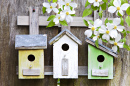 Three Little Birdhouses