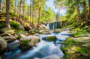 Mountain Stream