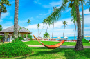 Palm Trees on a Tropical Beach