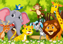 Animals in the Jungle