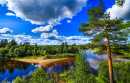 Summer River Landscape