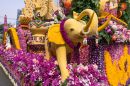 Chiang Mai Flower Festival, Thailand