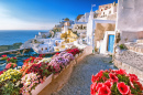 Traditional Houses in Santorini, Greece