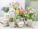 Spring Flowers on a Wooden Table