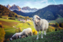 Santa Maddalena Village, Dolomites, Italy