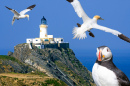 Muckle Flugga Lighthouse, Scotland