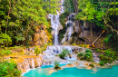 Forest Waterfall Pool