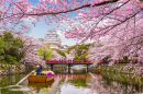 Himeji Castle in Spring Season, Japan