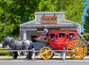 Jackson Hole WY