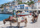 Donkeys in Hydra, Greece