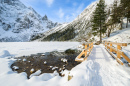 Morskie Oko Lake, High Tatra Mountains, Poland