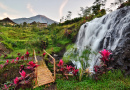 Waterfall in Indonesia