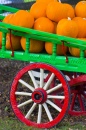 Halloween Pumpkins