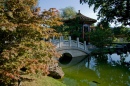 Chinese Garden