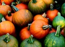 Pumpkins